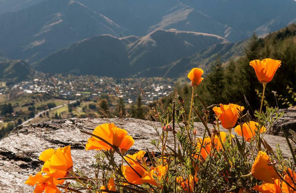 Creagh Cottage And Homestead Arrowtown Quarto foto